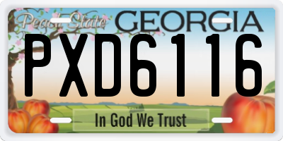 GA license plate PXD6116