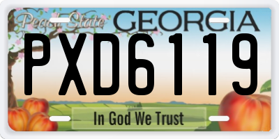 GA license plate PXD6119