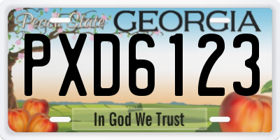 GA license plate PXD6123