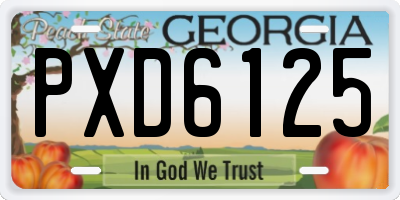 GA license plate PXD6125