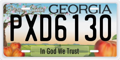 GA license plate PXD6130