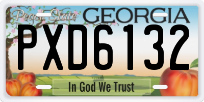 GA license plate PXD6132