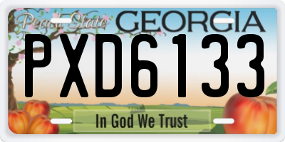 GA license plate PXD6133