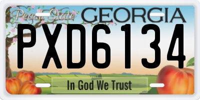GA license plate PXD6134