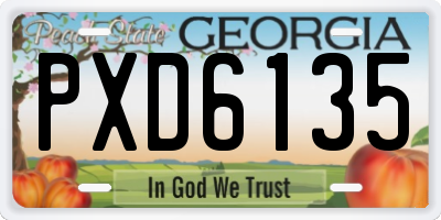 GA license plate PXD6135