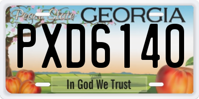 GA license plate PXD6140