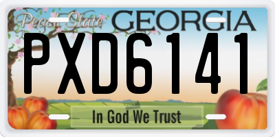 GA license plate PXD6141