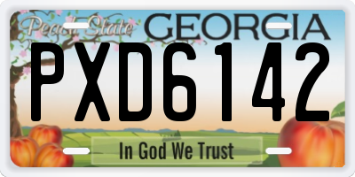 GA license plate PXD6142