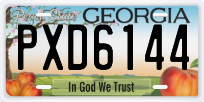 GA license plate PXD6144