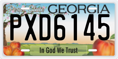 GA license plate PXD6145