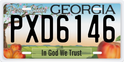 GA license plate PXD6146