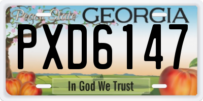 GA license plate PXD6147