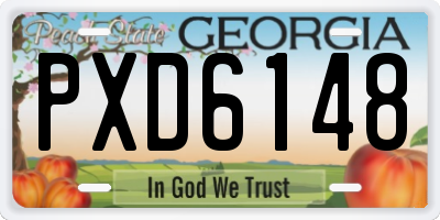 GA license plate PXD6148