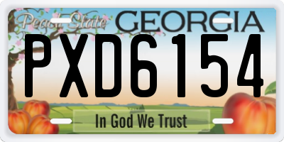GA license plate PXD6154