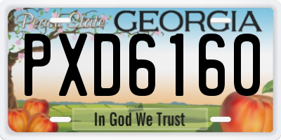 GA license plate PXD6160