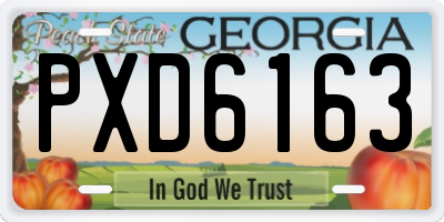 GA license plate PXD6163