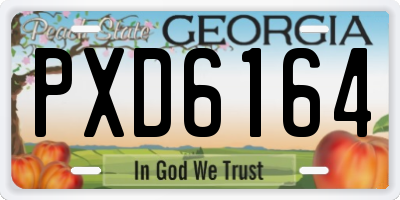 GA license plate PXD6164