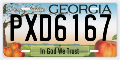 GA license plate PXD6167