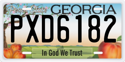 GA license plate PXD6182