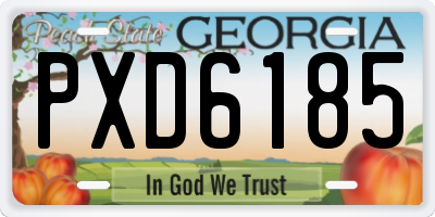GA license plate PXD6185