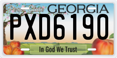 GA license plate PXD6190