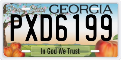 GA license plate PXD6199