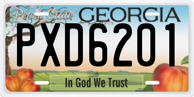 GA license plate PXD6201