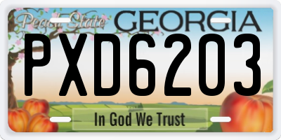 GA license plate PXD6203