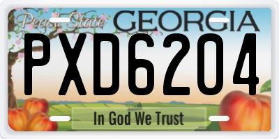 GA license plate PXD6204
