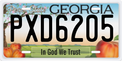 GA license plate PXD6205