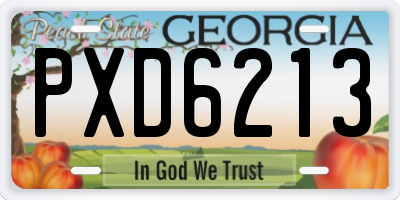 GA license plate PXD6213