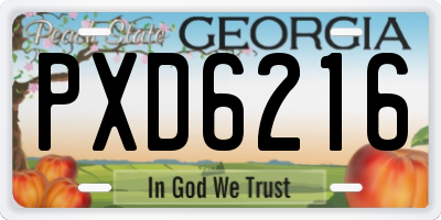 GA license plate PXD6216