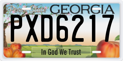 GA license plate PXD6217