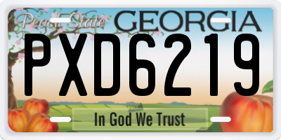 GA license plate PXD6219