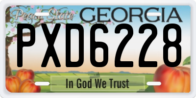 GA license plate PXD6228