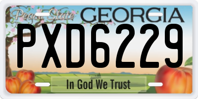 GA license plate PXD6229