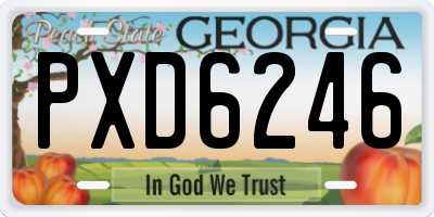 GA license plate PXD6246