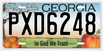 GA license plate PXD6248