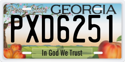GA license plate PXD6251