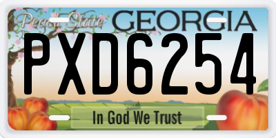 GA license plate PXD6254