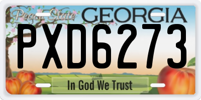 GA license plate PXD6273