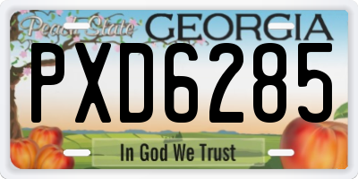 GA license plate PXD6285