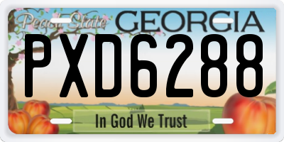 GA license plate PXD6288