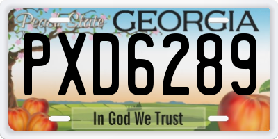 GA license plate PXD6289