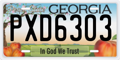 GA license plate PXD6303