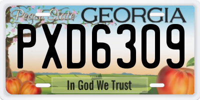 GA license plate PXD6309