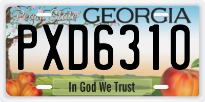 GA license plate PXD6310