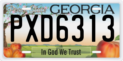 GA license plate PXD6313
