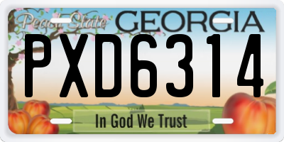 GA license plate PXD6314