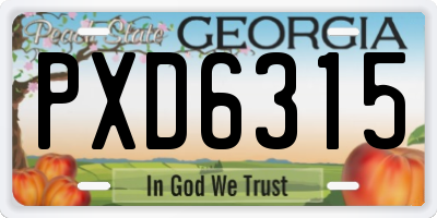GA license plate PXD6315